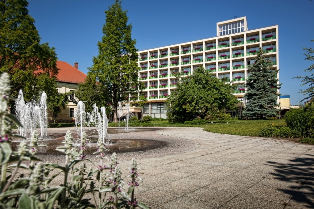 Aranyhomok Business City Wellness Hotel